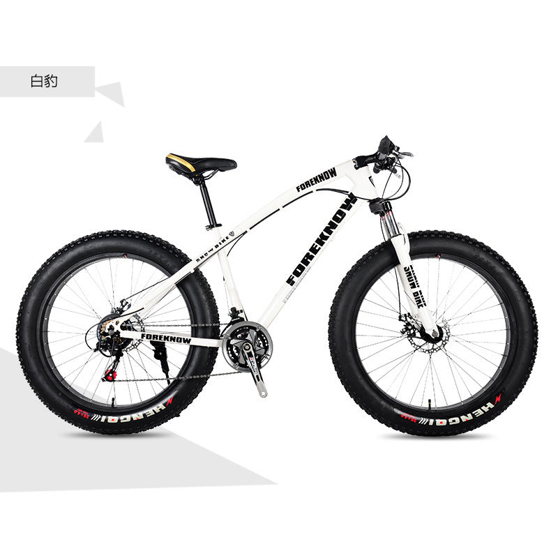 Factory Direct Wholesale Snow Bike 26/ 20inch Double Disc Brake Mountain Snow Beach Fat Tire Variable Speed Bicycle