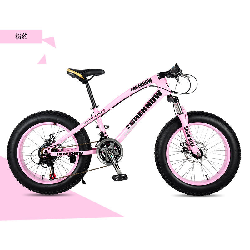 Factory Direct Wholesale Snow Bike 26/ 20inch Double Disc Brake Mountain Snow Beach Fat Tire Variable Speed Bicycle