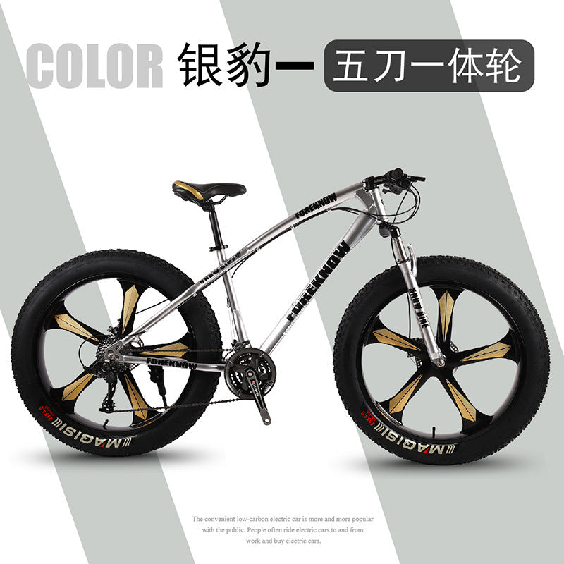 Factory Direct Wholesale Snow Bike 26/ 20inch Double Disc Brake Mountain Snow Beach Fat Tire Variable Speed Bicycle