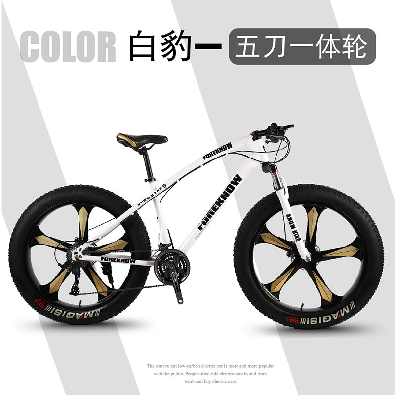 Factory Direct Wholesale Snow Bike 26/ 20inch Double Disc Brake Mountain Snow Beach Fat Tire Variable Speed Bicycle
