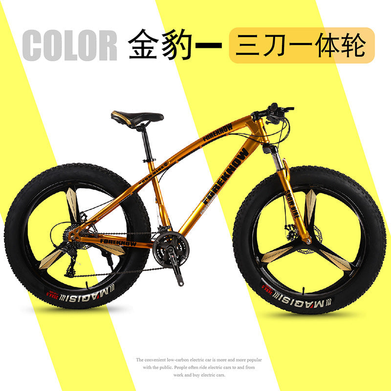 Factory Direct Wholesale Snow Bike 26/ 20inch Double Disc Brake Mountain Snow Beach Fat Tire Variable Speed Bicycle