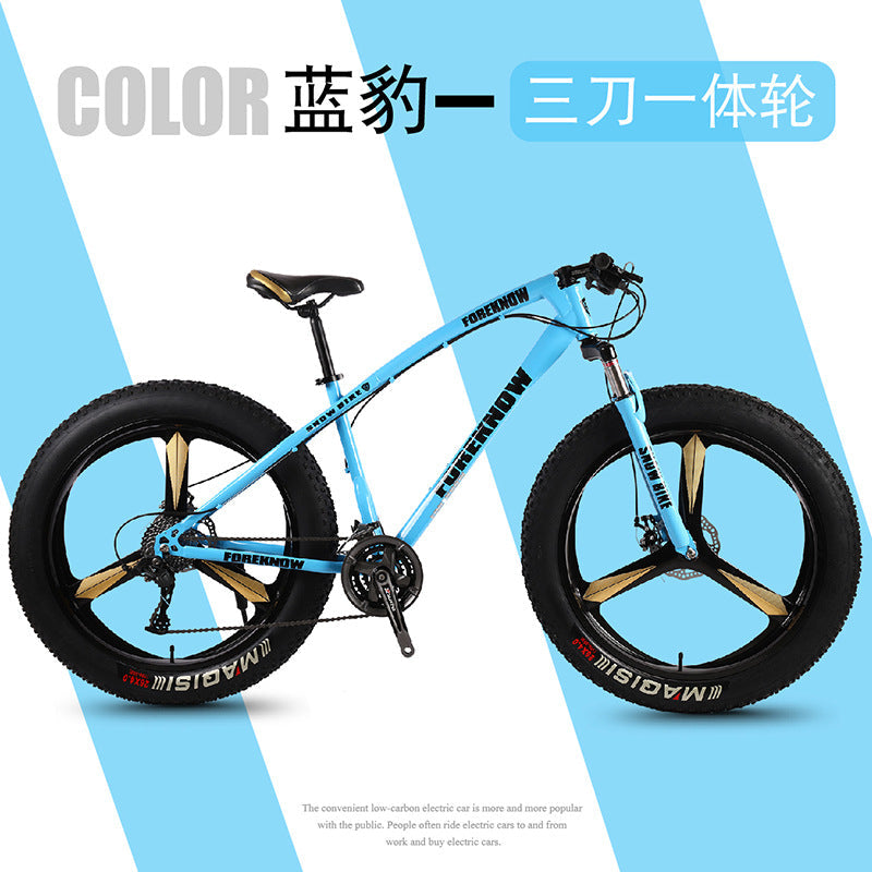 Factory Direct Wholesale Snow Bike 26/ 20inch Double Disc Brake Mountain Snow Beach Fat Tire Variable Speed Bicycle