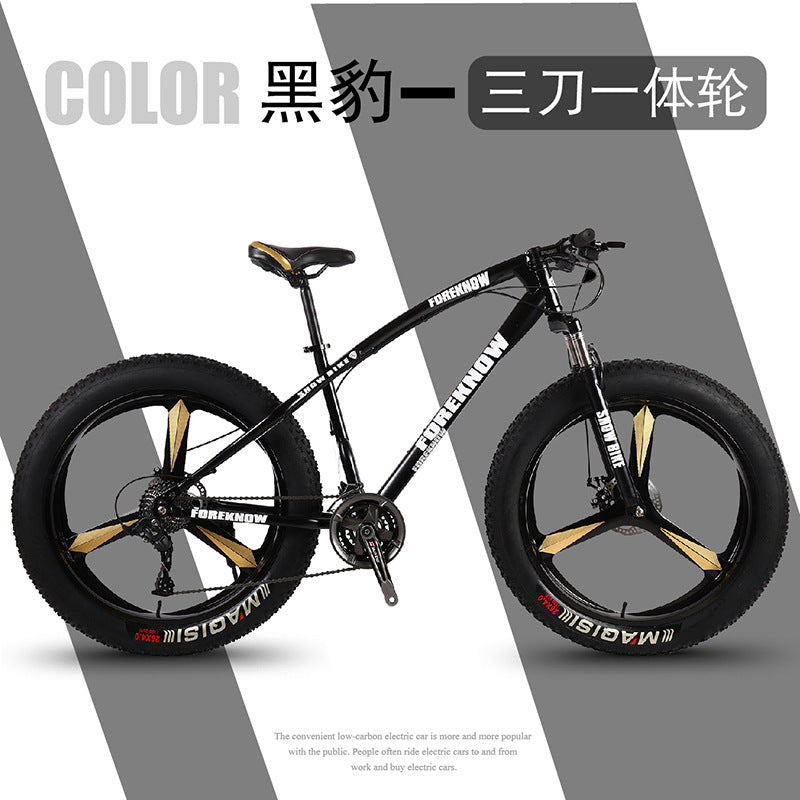 Factory Direct Wholesale Snow Bike 26/ 20inch Double Disc Brake Mountain Snow Beach Fat Tire Variable Speed Bicycle