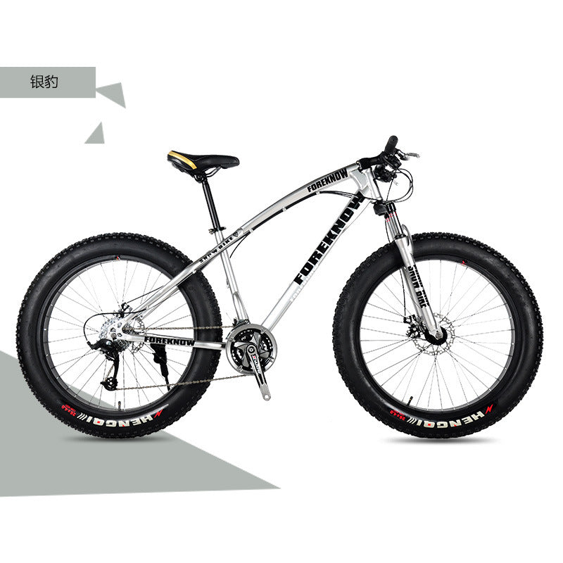 Factory Direct Wholesale Snow Bike 26/ 20inch Double Disc Brake Mountain Snow Beach Fat Tire Variable Speed Bicycle