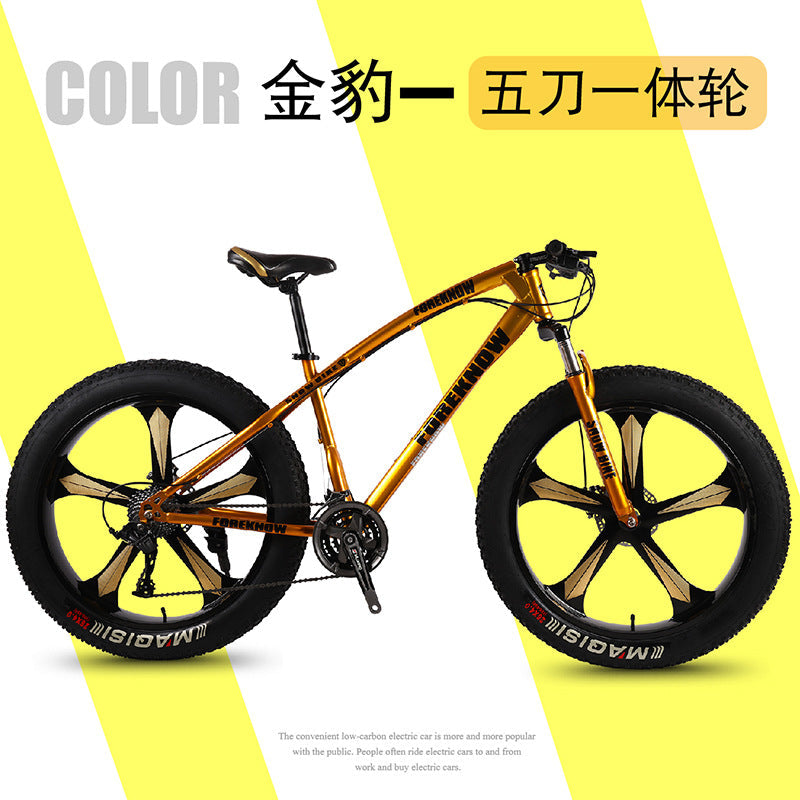 Factory Direct Wholesale Snow Bike 26/ 20inch Double Disc Brake Mountain Snow Beach Fat Tire Variable Speed Bicycle