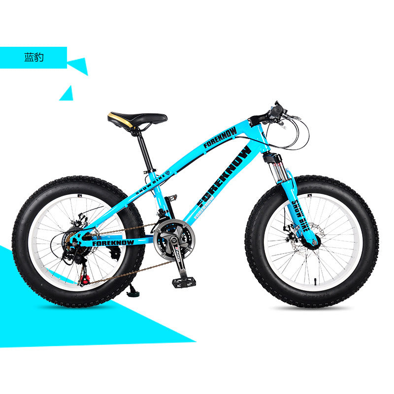 Factory Direct Wholesale Snow Bike 26/ 20inch Double Disc Brake Mountain Snow Beach Fat Tire Variable Speed Bicycle