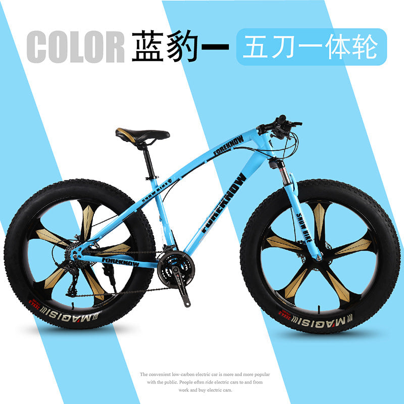 Factory Direct Wholesale Snow Bike 26/ 20inch Double Disc Brake Mountain Snow Beach Fat Tire Variable Speed Bicycle