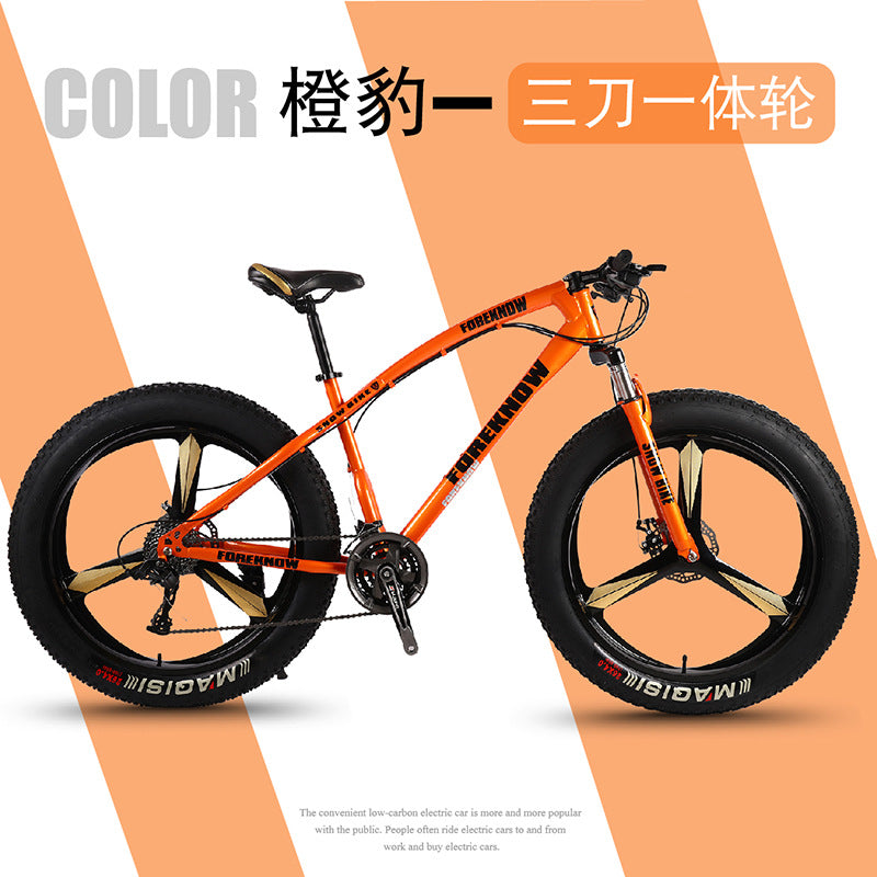 Factory Direct Wholesale Snow Bike 26/ 20inch Double Disc Brake Mountain Snow Beach Fat Tire Variable Speed Bicycle