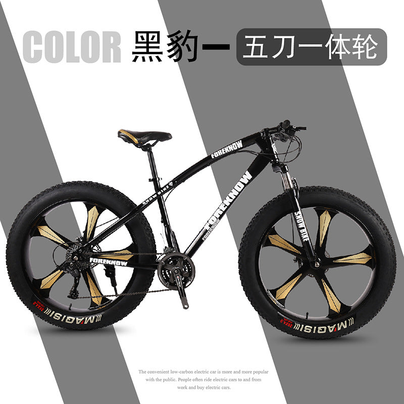 Factory Direct Wholesale Snow Bike 26/ 20inch Double Disc Brake Mountain Snow Beach Fat Tire Variable Speed Bicycle
