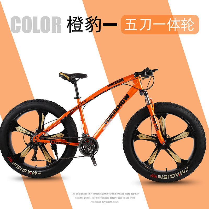 Factory Direct Wholesale Snow Bike 26/ 20inch Double Disc Brake Mountain Snow Beach Fat Tire Variable Speed Bicycle
