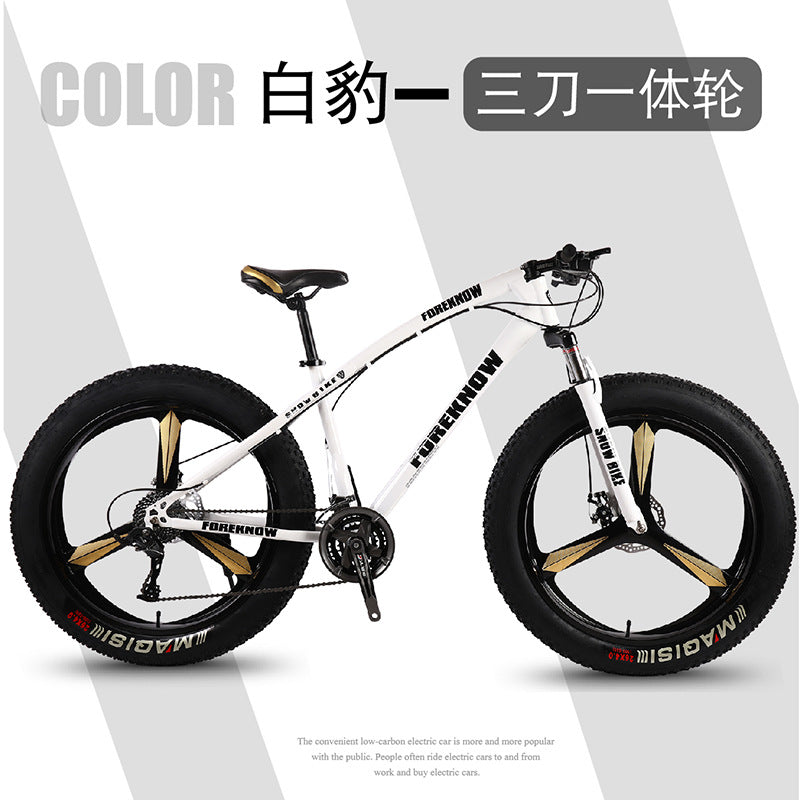 Factory Direct Wholesale Snow Bike 26/ 20inch Double Disc Brake Mountain Snow Beach Fat Tire Variable Speed Bicycle