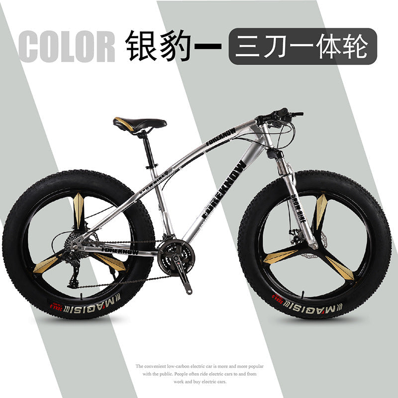 Factory Direct Wholesale Snow Bike 26/ 20inch Double Disc Brake Mountain Snow Beach Fat Tire Variable Speed Bicycle