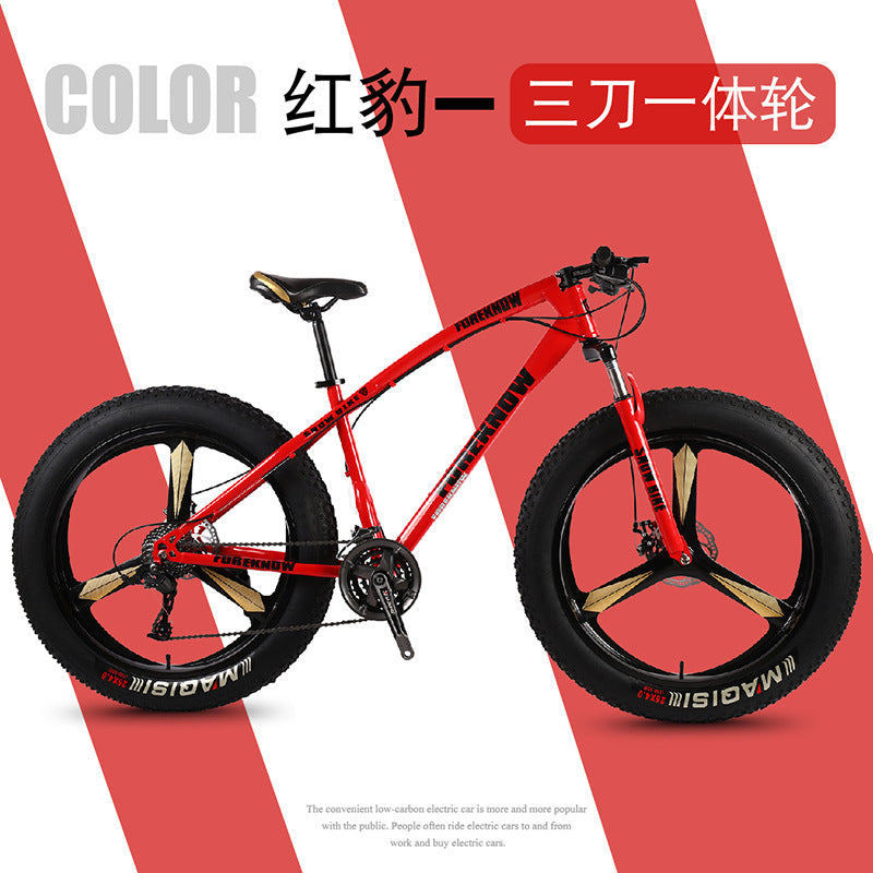 Factory Direct Wholesale Snow Bike 26/ 20inch Double Disc Brake Mountain Snow Beach Fat Tire Variable Speed Bicycle