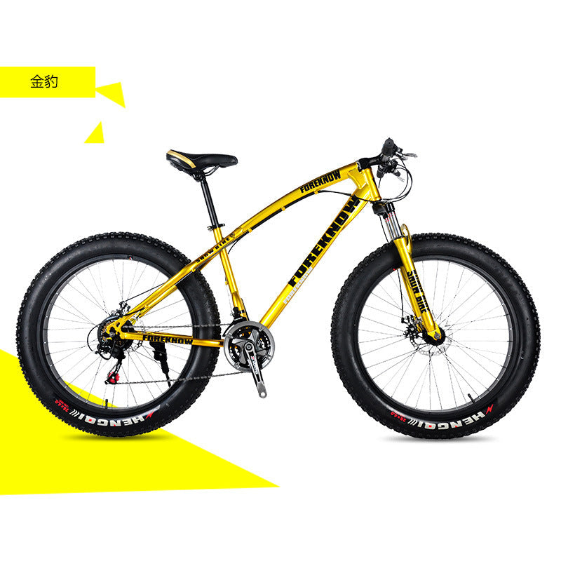 Factory Direct Wholesale Snow Bike 26/ 20inch Double Disc Brake Mountain Snow Beach Fat Tire Variable Speed Bicycle
