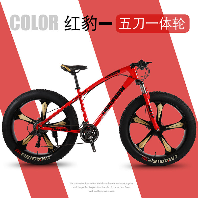 Factory Direct Wholesale Snow Bike 26/ 20inch Double Disc Brake Mountain Snow Beach Fat Tire Variable Speed Bicycle