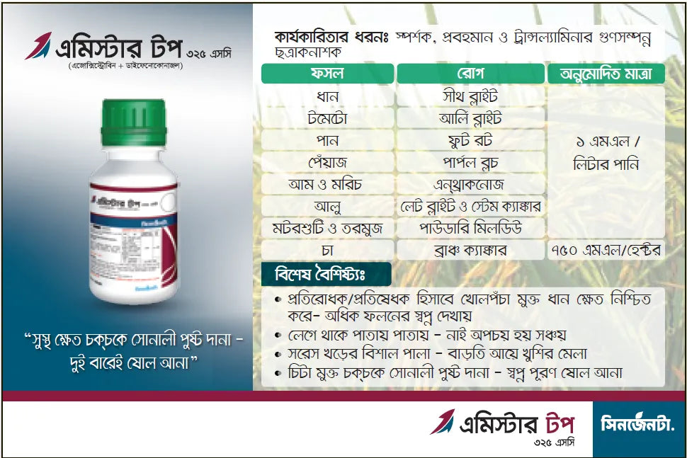 এমিস্টার টপ বিবরণ