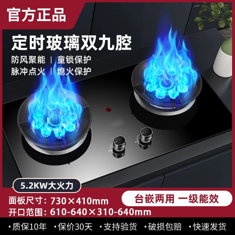 Gas Stove Double Stove Energy-Saving Fierce Fire Table Embedded Dual-Purpose Natural Gas Liquefied Gas Bilateral Timing Household