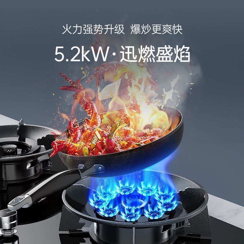 Gas Stove Double Stove Energy-Saving Fierce Fire Table Embedded Dual-Purpose Natural Gas Liquefied Gas Bilateral Timing Household