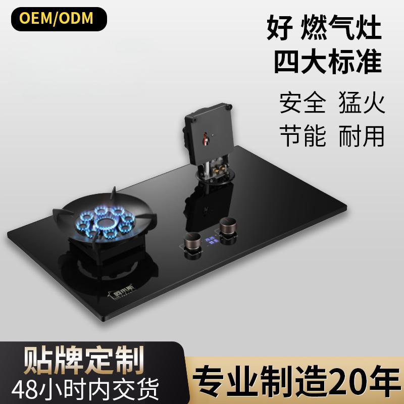Gas Stove Double Stove Household Foldableing Double Fire Stove Gas Stove Liquefied Gas Natural Gas Stove Gas Stove
