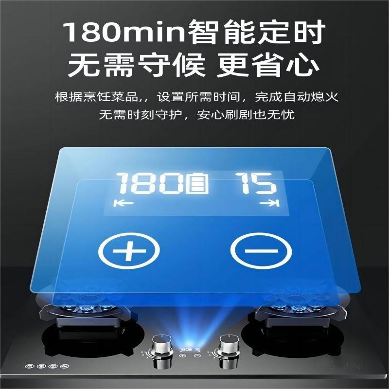 Gas Stove Double Stove Household Foldableing Double Fire Stove Gas Stove Liquefied Gas Natural Gas Stove Gas Stove