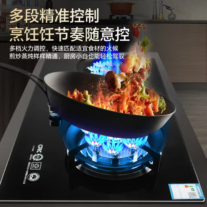 Gas Stove Double Stove Household Gas Stove Natural Gas LPG Embedded Desktop Fierce Stove Stove Timing New Style