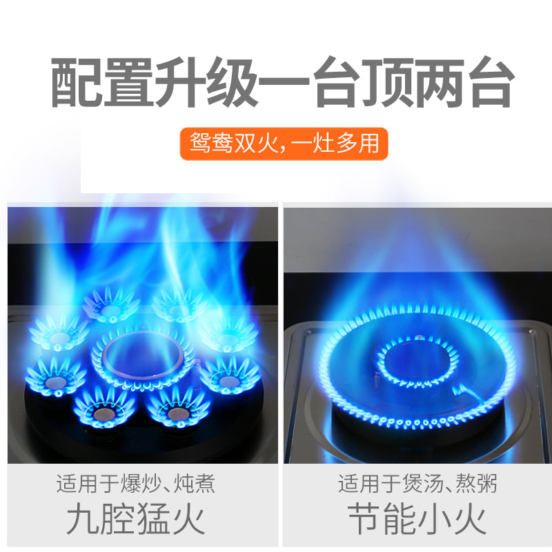 Gas Stove Double Stove Household Gas Stove Natural Gas LPG Embedded Desktop Fierce Stove Stove Timing New Style