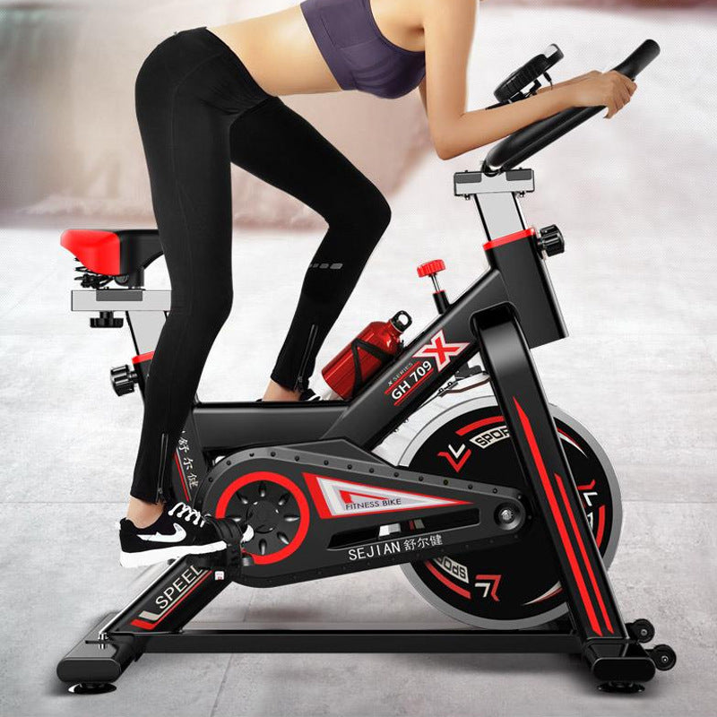 Shuerjian 09 Luxury Indoor Spinning Bicycle Ultra Quiet Exercise Bike Home Bicycle Exercise Equipment
