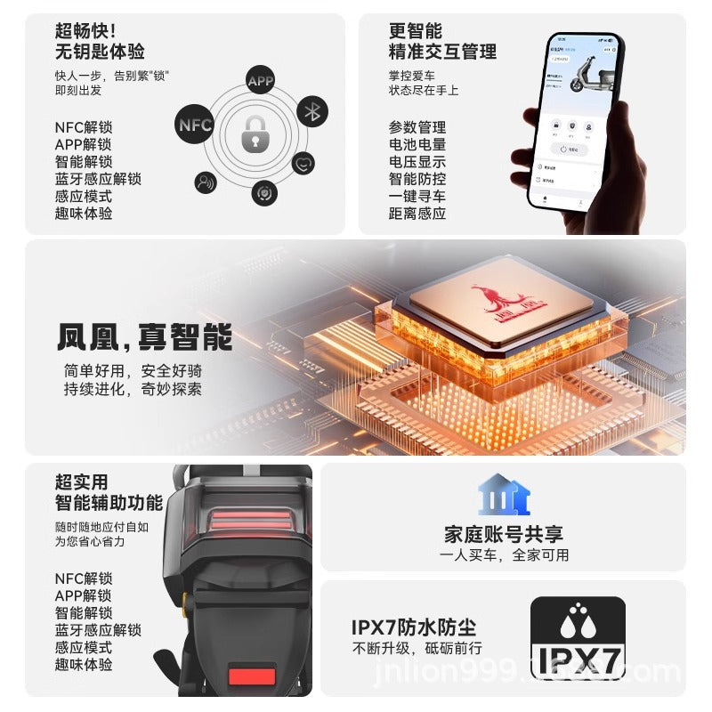 Sf Express Free Shipping Phoenix 2025 New High-Speed Electric Motorcycle Adult Electric Motorcycle Ultra-Long Range Electric Vehicle No. 9