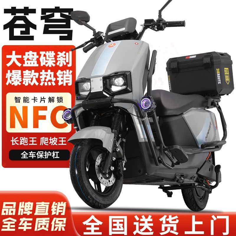 Dacangqiong 96V3000 Watt Electric Vehicle 72V Electric Motorcycle Pedal Battery Vehicle High Power High Speed Endurance King
