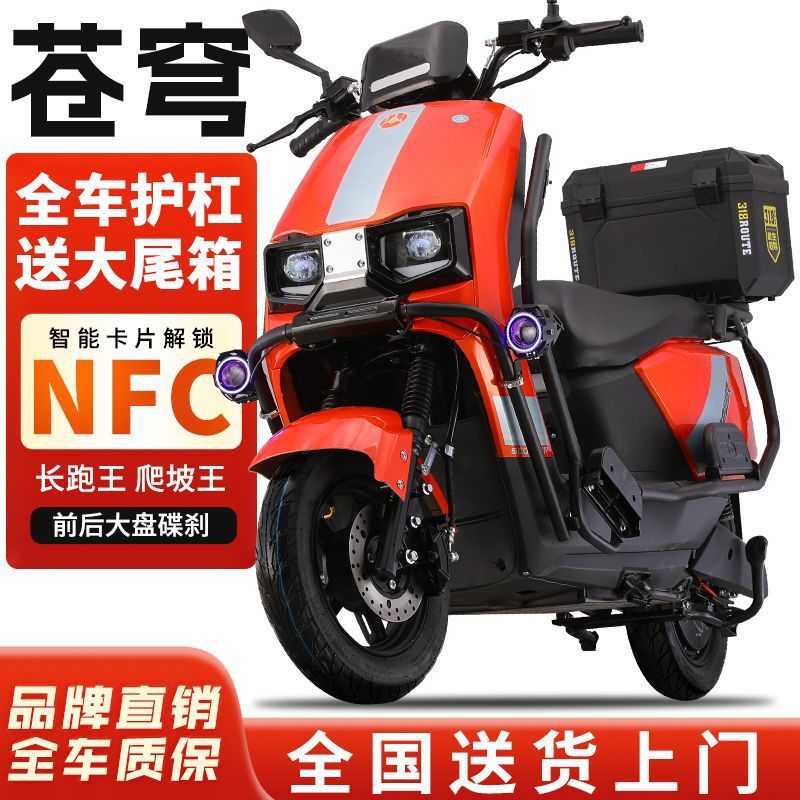 Dacangqiong 96V3000 Watt Electric Vehicle 72V Electric Motorcycle Pedal Battery Vehicle High Power High Speed Endurance King