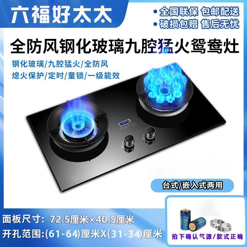 Gas Stove Double Stove Energy-Saving Fierce Fire Table Embedded Dual-Purpose Natural Gas Liquefied Gas Bilateral Timing Household