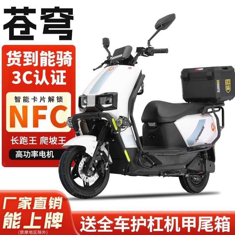 Dacangqiong 96V3000 Watt Electric Vehicle 72V Electric Motorcycle Pedal Battery Vehicle High Power High Speed Endurance King