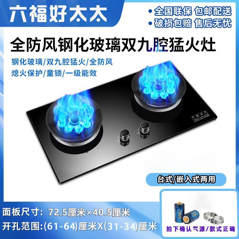 Gas Stove Double Stove Energy-Saving Fierce Fire Table Embedded Dual-Purpose Natural Gas Liquefied Gas Bilateral Timing Household
