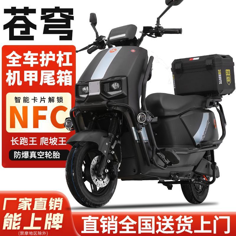 Dacangqiong 96V3000 Watt Electric Vehicle 72V Electric Motorcycle Pedal Battery Vehicle High Power High Speed Endurance King