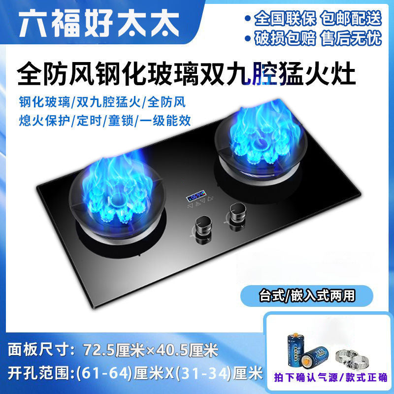 Gas Stove Double Stove Energy-Saving Fierce Fire Table Embedded Dual-Purpose Natural Gas Liquefied Gas Bilateral Timing Household