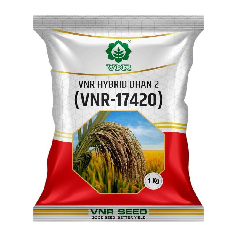 https://amanatbijvander.com/wp-content/uploads/2025/11/VNR-1.jpg