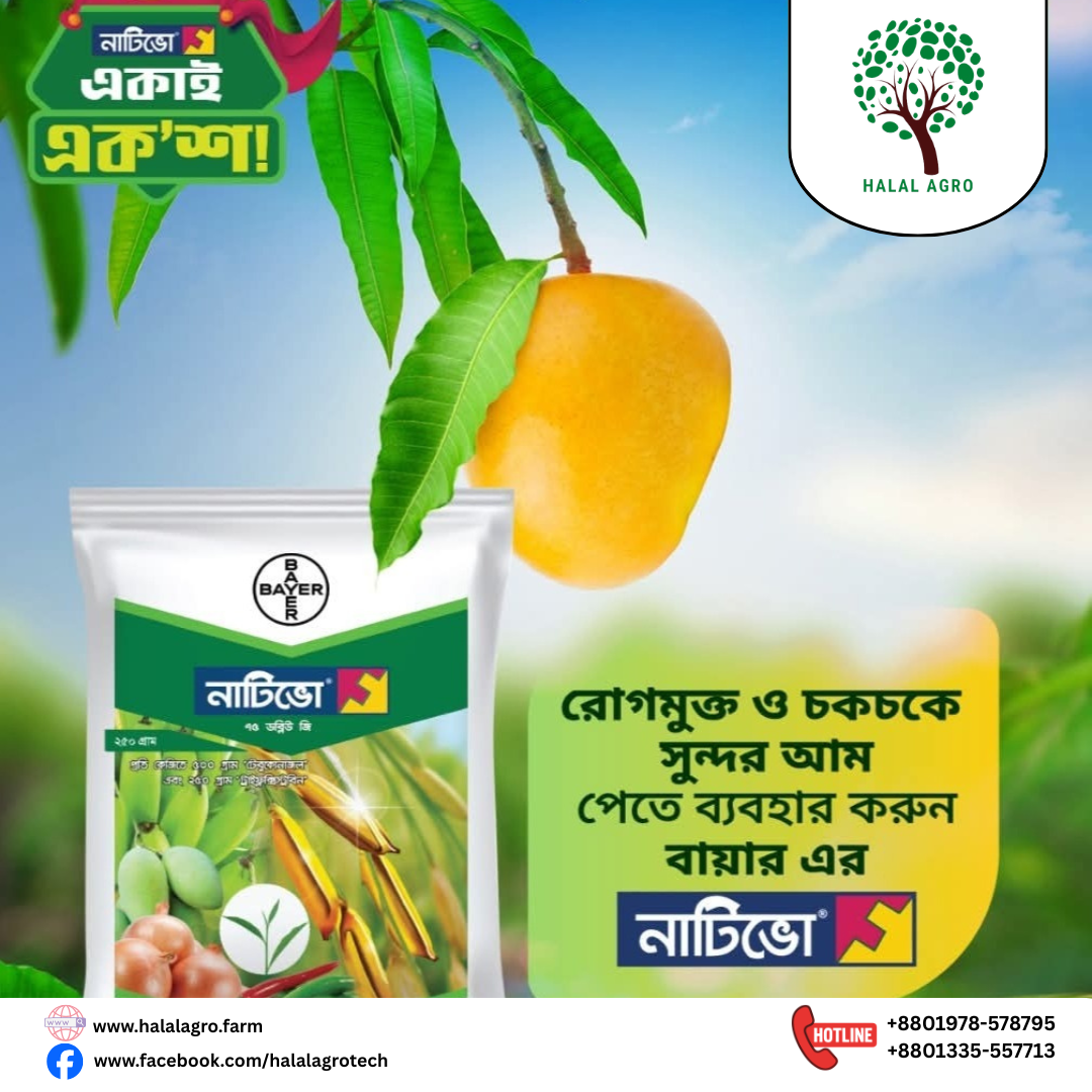 Nativo 75 WG Fungicide from Bayer, containing Tebuconazole and Trifloxystrobin for effective fungal control.