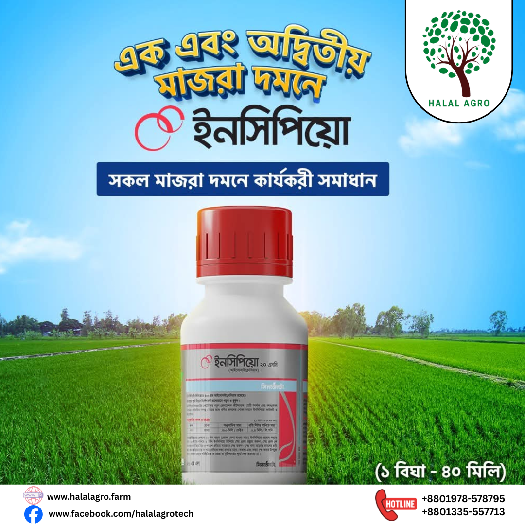 ইনসিপিয়ো কীটনাশক | আইসোসাইক্লোসিরাম (Isocycloseram) সিনজেনটা | Incipio Insecticide | Syngenta